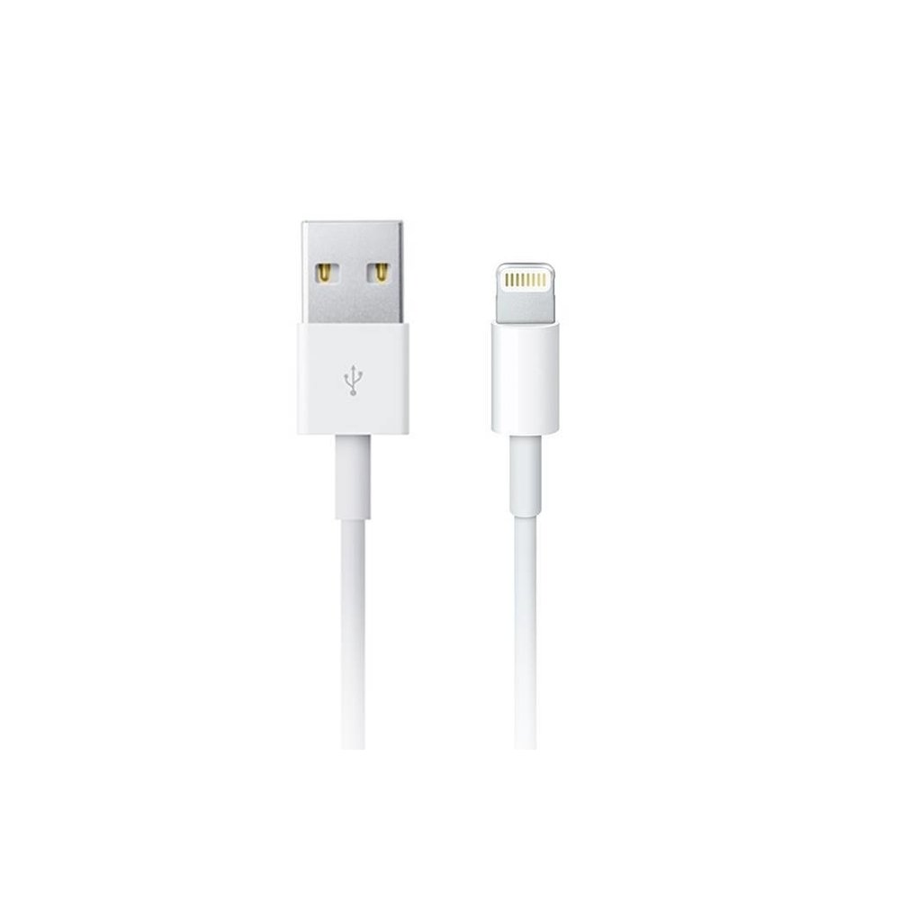 Ongewijzigd Succesvol Leer Lightning USB kabel iPhone/iPad - Ben Telecom